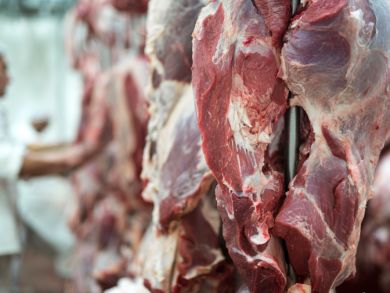 Fresh Meats